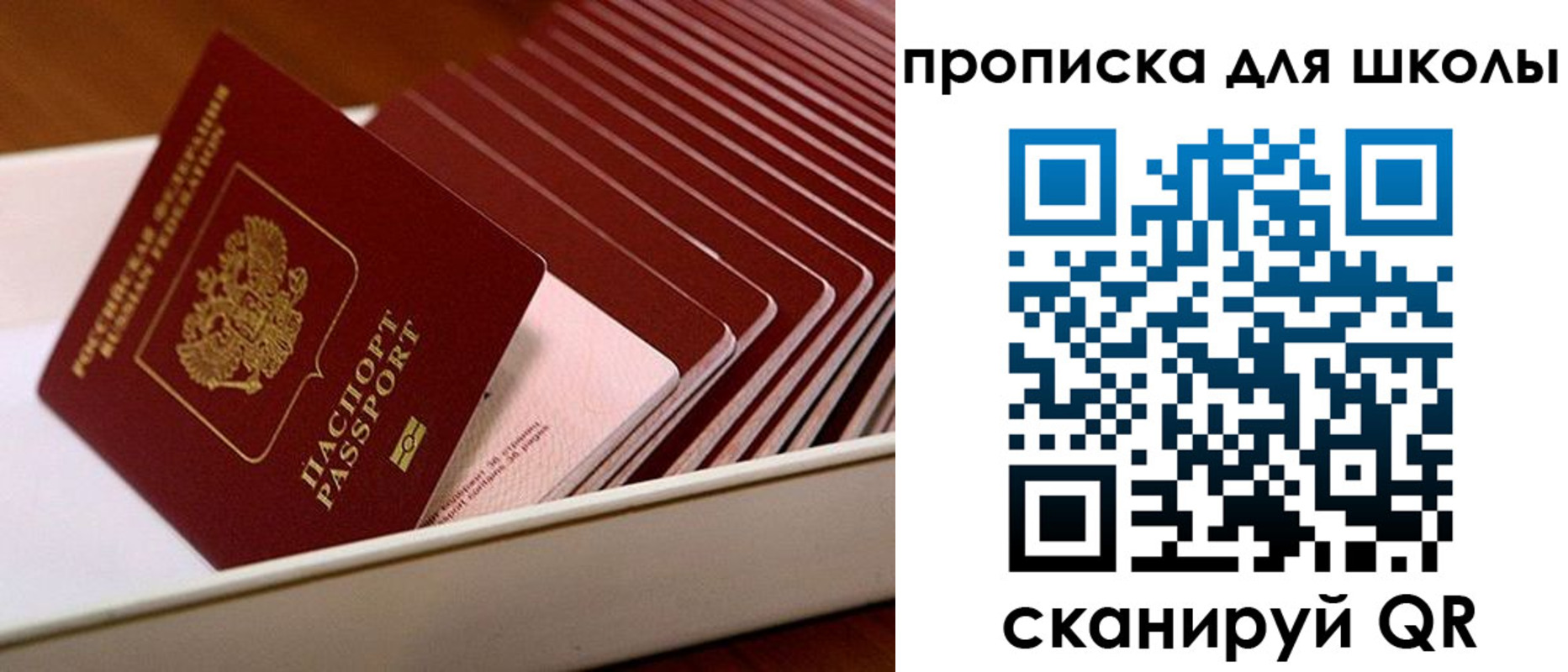 временная регистрация гарантия в Новгородской области